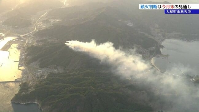 【大槌町山林火災】鎮火は月末になる見通し　29日までヘリによる残り火の確認続ける　岩手|TBS NEWS DIG