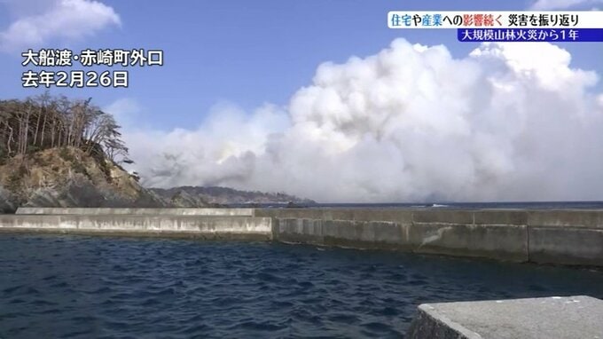 26日で大船渡市大規模山林火災から1年　発生からの動きを振り返る　岩手|TBS NEWS DIG