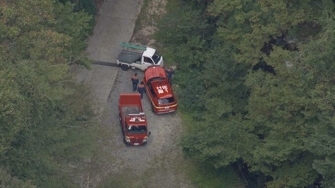 「登山中に刺された」児童など19人がハチに刺される　児童15人、教員など大人4人全員が病院に搬送　命に別状はなしも自力で歩けない児童も　広島　|　RCC NEWS | 広島ニュース | RCC中国放送