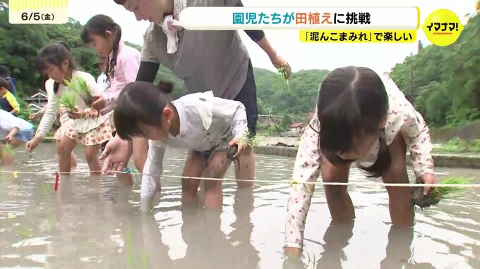 「ふりかけかけて食べたい」尾道の園児たちが泥まみれで田植え　お楽しみはどろんこ遊び　広島|TBS NEWS DIG