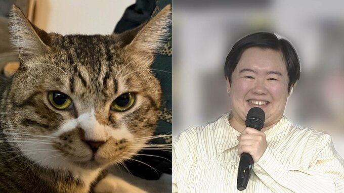 【 やす子 】「実は千葉に移住して保護猫9匹飼ってました！」　保護猫1匹目「ハッピー」の画像を公開|TBS NEWS DIG