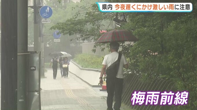 雷を伴った激しい雨に注意　広島県で大雨に|TBS NEWS DIG