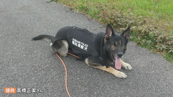 「自分を捜索していることに気が付いて、自死を思いとどまりました」嘱託警察犬ファーブル号、海で懸命の行方不明者捜索…自殺を思いとどまらせる　|　BSSニュース | BSS山陰放送