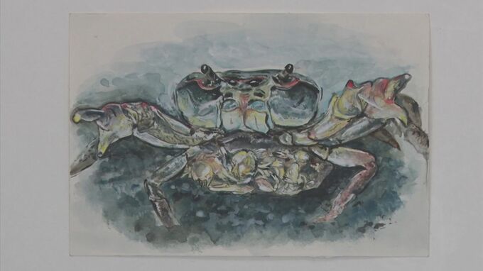 全国から１９６２点の力作　「ハガキに描こうアクアスの海」展　|　BSSニュース | BSS山陰放送