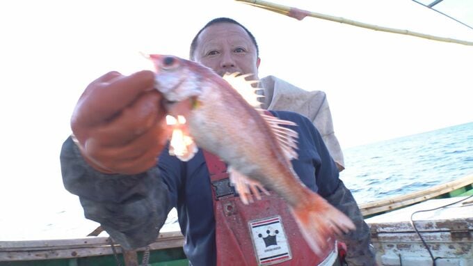 高級魚“ノドグロ”漁に乗船取材…夫婦船は「金持ちなるなぁ！」と思いきや…波乱万丈の漁に密着　|　石川県のニュース｜MRO北陸放送