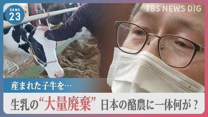 牛乳値上げ続く中、余った生乳が“大量廃棄”…ナゼ？　収入減で酪農家9割「経営難」に　一方で毎年、上限枠で輸入が【news23】|TBS NEWS DIG