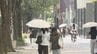 最高気温は名古屋･岐阜で37℃予想 東海地方は各地で2日連続の｢猛暑日｣に 愛知･三重に熱中症警戒アラート　|　名古屋・愛知・岐阜・三重のニュース【CBC news】 | CBC web