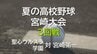 夏の高校野球宮崎大会　3回戦　聖心ウルスラ学園 vs 宮崎第一　延長タイブレークの激戦に　|　MRTニュース ｜ ＭＲＴ宮崎放送