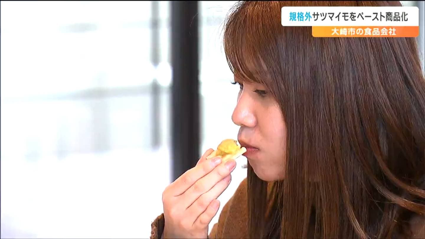 たけのこ大前さん規格外さつまいも おまけ付き 形・大きさが不揃い”で出荷できないサツマイモ 食品会社が“ペースト