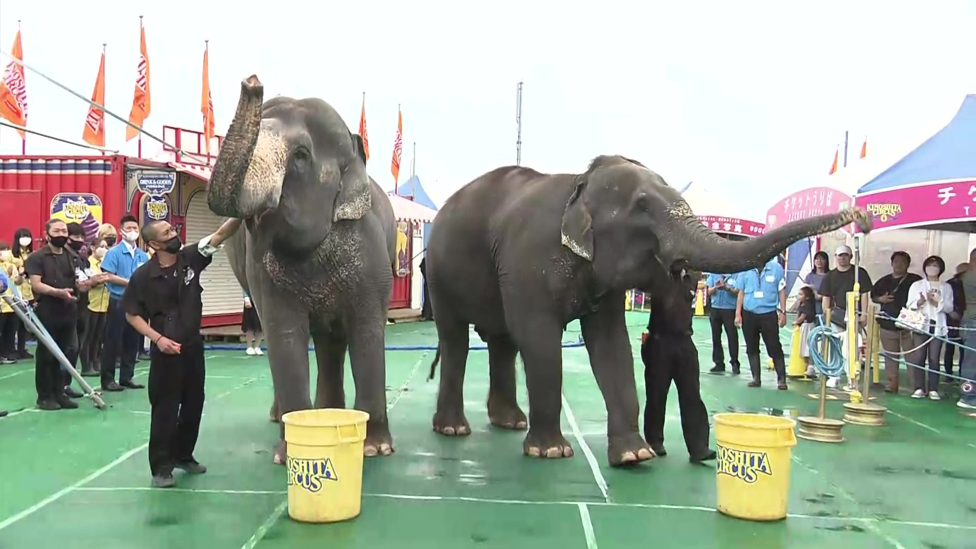 ゾウも放水に参加 サーカス会場で消防訓練 観客の避難誘導などを確認