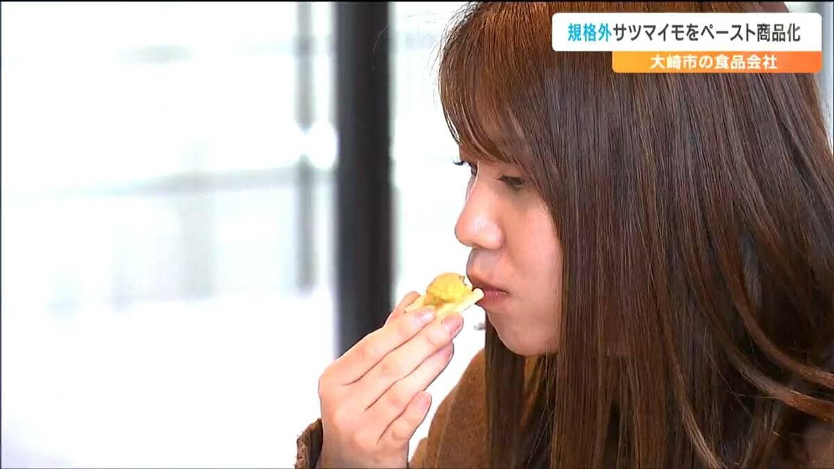 形・大きさが不揃い”で出荷できないサツマイモ 食品会社が“ペースト