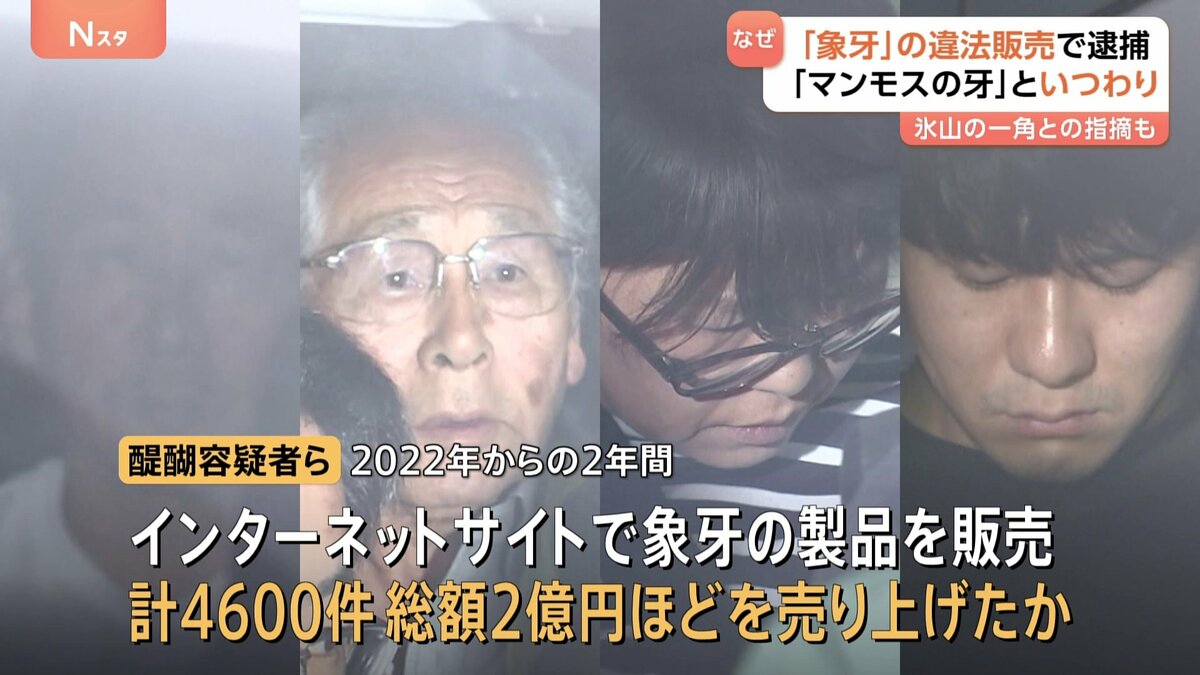 マンモス牙ビーズ合法象牙最終価額