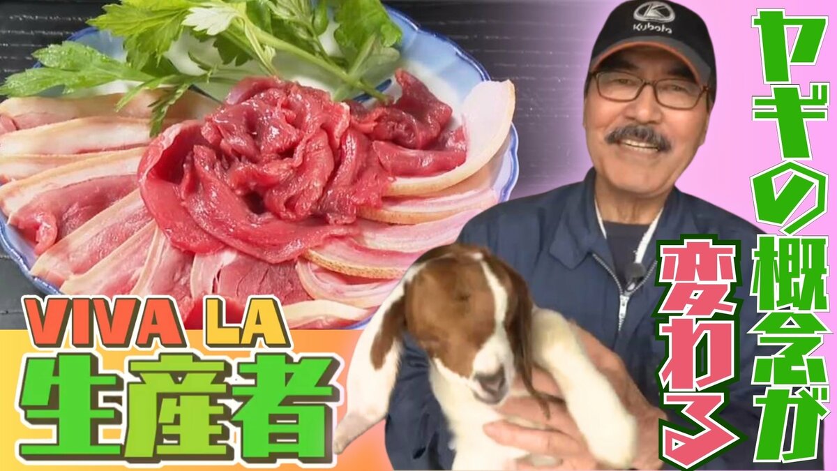 ヤギを食べる沖縄の常識「ヤギ肉は臭い」は過去のものに？  中学生から飼い続けヤギ王国を築いた男性【VIVALA生産者】