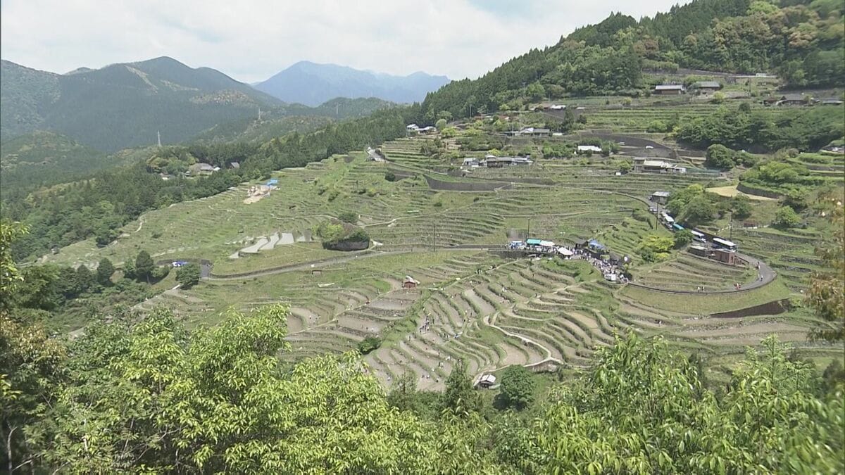 日本の棚田百選の一つ、丸山千枚田で田植えの集い　オーナーやボランティアが参加　三重・熊野市