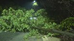 台風9号&nbsp;中国・浙江省に上陸&nbsp;警戒呼びかけ　台湾でも113人けが　フィリピンでは土砂崩れや洪水&nbsp;17人死亡|TBS NEWS DIG