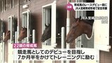 育成馬のレースデビューを前に 競走馬としての活躍と安全を祈願 JRA宮崎育成牧場 | MRTニュース | MRT宮崎放送