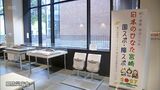 東京五輪・パラリンピックで実際に使用した観客席 宮崎県の防災庁舎に登場|TBS NEWS DIG