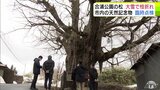 「今年の雪の多さが、この結果を物語っている」大雪で『天然記念物のマツ』が枝折れ 被害を受け青森市が「他の天然記念物」も臨時点検 | 青森のニュース│ATV NEWS│青森テレビ