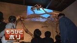 【穂別恐竜博物館】北海道内初の恐竜博物館が間もなくオープン　「奇跡の大発見」国内8例目の新種「カムイサウルス」初の全身での復元骨格　恐竜好きにはたまらない展示も|TBS NEWS DIG