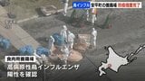 北海道安平町で確認の鳥インフルエンザ　18万4000羽の殺処分、施設の消毒などの防疫措置を完了|TBS NEWS DIG