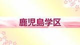 公立高校入試出願状況 全校全学科まとめ 鹿児島 | 鹿児島のニュース|MBC NEWS|南日本放送