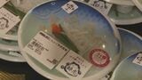 「こりこりしておいしい」 ほろ酔いとらふぐ「酔虎」販売 酒かすを餌に養殖 山口・長門 |TBS NEWS DIG
