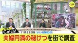 干渉しない、我慢する、役割分担・・・いい夫婦の秘訣とは　|　RCC NEWS | 広島ニュース | RCC中国放送