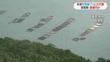 長島町の赤潮被害　養殖ブリなど10万匹が死ぬ　全容見えず被害額数億円以上か　鹿児島|TBS NEWS DIG