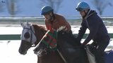 馬場に春 岩手競馬特別開催に向け調教開始 積雪少なくコンディション良好 盛岡競馬場|TBS NEWS DIG