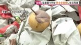 被災地の課題　熊本・宇城市　続く厳しい暑さ　果樹園では収穫期迎えた多くの梨が　地震で地面に落ちる「注文が入り始めていただけに無念だ」|TBS NEWS DIG