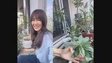 工藤静香さん 「種から育てたアデニウム」 愛情たっぷりに観葉植物を紹介 「この幹の太さ ほら!…ポニョんとしている」|TBS NEWS DIG