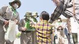 ふるさとの緑や森を守ろう 大分市で小学生らが募金活動 | 大分のニュース|OBS NEWS|大分放送