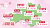 【サクラ開花情報】福島県内の桜の状況は?【2日午後2時現在・TUF調べ】|TBS NEWS DIG