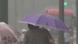 梅雨の熱中症は気温でなく “湿度” に要注意「100%近いとかなり危険」予防法は暑さに慣れて汗をかく「お風呂に入ることもトレーニング」|TBS NEWS DIG