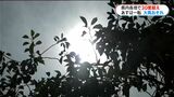 気温ぐんぐん↑暑い一日　ほとんどの時点で30度超の真夏日　でも14日は警報級の大雨おそれ|TBS NEWS DIG