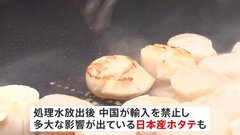 ロンドン「ジャパン祭り」中国“禁輸”の日本産ホタテを振る舞う　日本の食や文化発信のイベント開催| TBS CROSS DIG with Bloomberg