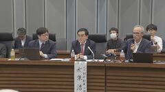 北朝鮮元外交官の韓国国会議員　拉致問題解決には“アメとムチ”必要　ニセ遺骨「日本担当外交官も夢にも思わなかった」| TBS CROSS DIG with Bloomberg