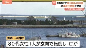 青森などで震度4　東北と北海道に一時津波注意報　八戸港で20cmの津波観測　後発地震注意情報は発表されず|TBS NEWS DIG