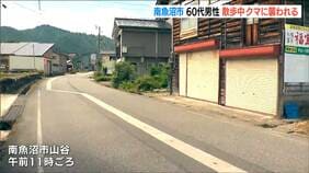 「血がだいぶ出ていた」自宅周辺で散歩中の男性がクマに襲われる 懐中電灯で抵抗しクマは池に 新潟・南魚沼市 |TBS NEWS DIG