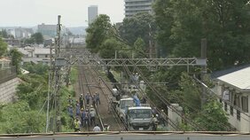 倒木の影響で運転見合わせの京王線 約7時間後に全線で運転再開 約13万人に影響…8日は始発から通常通りの予定|TBS NEWS DIG