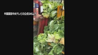 中国　発がん性指摘のホルムアルデヒドに浸した白菜めぐり3人を刑事拘留| TBS CROSS DIG with Bloomberg