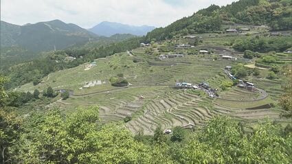 日本の棚田百選の一つ、丸山千枚田で田植えの集い オーナーや