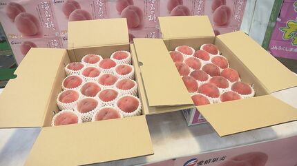 モモです　　ひめ5本セット 県産モモ「はつひめ」初せり 過去最高額で落札 ミスピーチも笑顔でPR