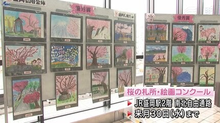 石割桜や小岩井農場そして高松の池など舞台に小学生が描く 「桜の札所