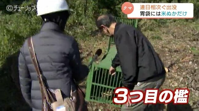 山に餌がない!クマの胃は米ぬかだけ…空腹で市街地に出没相次ぐ “柿” 求めて住宅地にも 猟友会が檻を増設 富山|TBS NEWS DIG