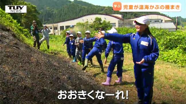 400年以上前から作られる伝統野菜！ 子どもたちが "温海かぶ" について勉強し種まき（山形・鶴岡市）|TBS NEWS DIG