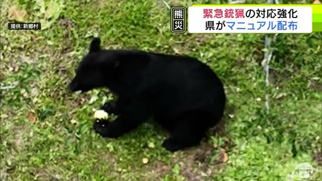 青森県が『緊急銃猟』各自治体の対応マニュアルを公表　市町村のクマへの対応を支援・強化へ「示したマニュアルをもとに検討いただきたい」【熊災】|TBS NEWS DIG