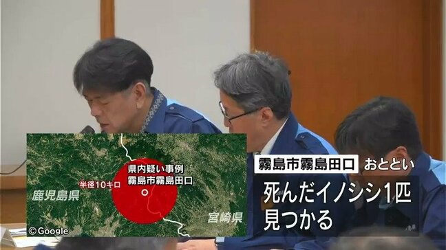 「豚熱の感染疑い」確認 霧島市の死んだ野生イノシシから 鹿児島県が対策本部会議|TBS NEWS DIG