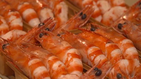 信州プレミアム牛や松本一本ねぎなど地元産食材もふんだんに　おせち作り大忙し　長野・松本市|TBS NEWS DIG