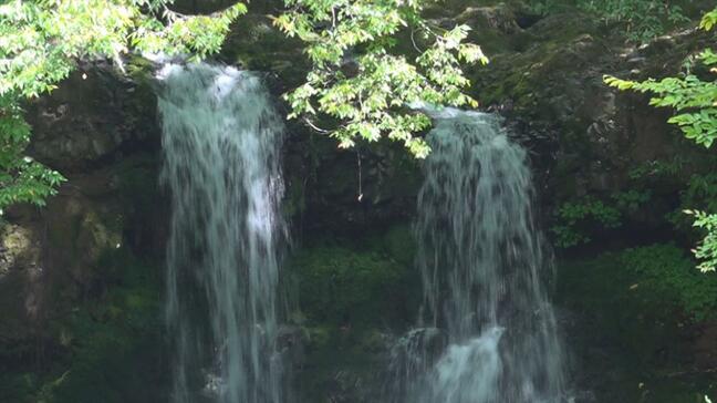 富士山周辺の穴場スポット「鐘山の滝」　緑に囲まれた滝を木漏れ日が照らす　山梨|TBS NEWS DIG